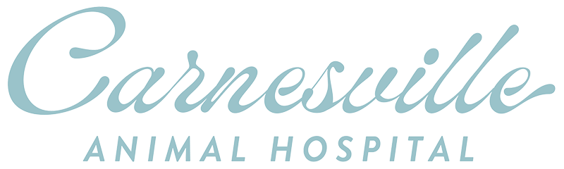 Carnesville Animal Hospital logo