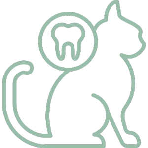 Pet Dental Care Icon