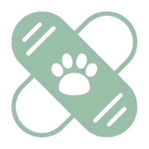 pet surgery icon