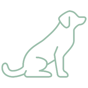 End-Of-Life Pet Care Icon