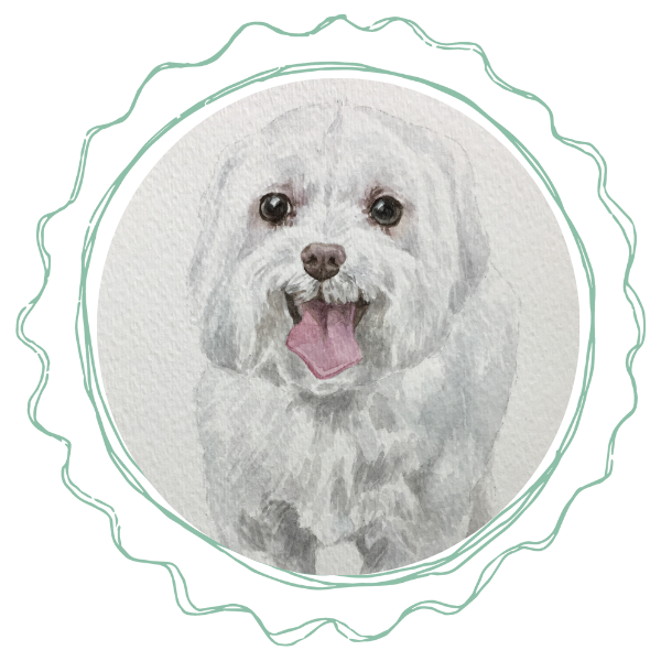 A watercolor portrait depicting a white dog