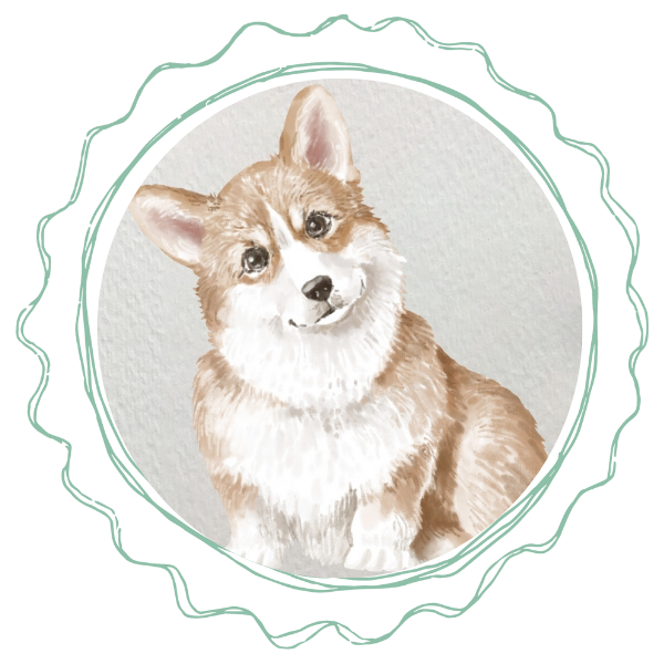 team-img-1 A drawing of a corgi dog enclosed within a circular frame